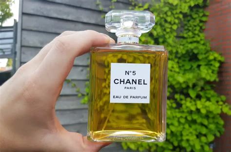 De 7 Beste Chanel Parfums Voor Vrouwen – .